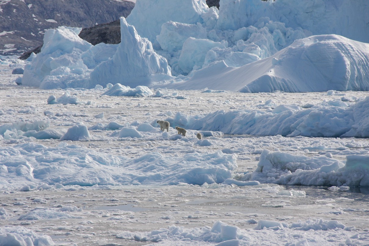 arctic glaciers