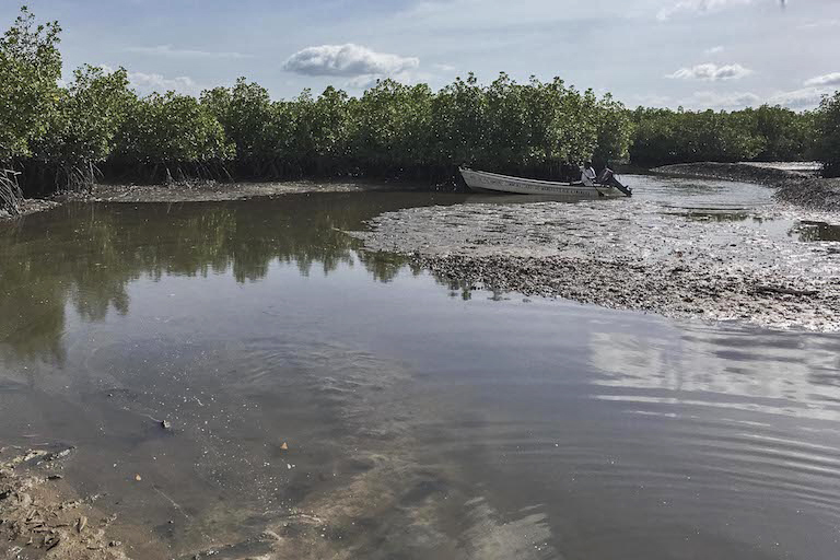 Kawawana uses a motorboat for surveillance tasks. 