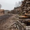 Logging operation in Sweden. Image courtesy of Marcus Westberg.