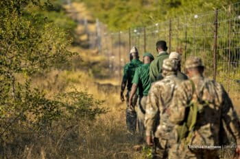 Park rangers walk next to a fenceline