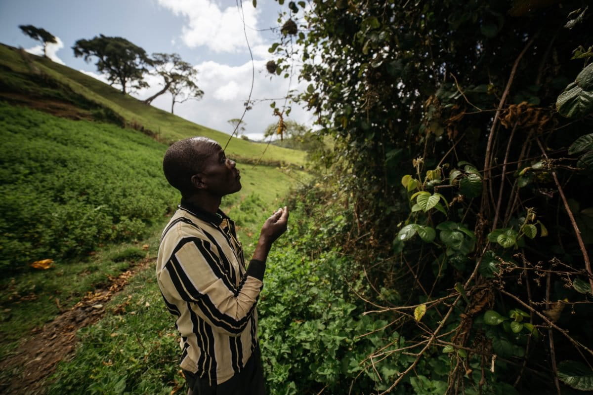 Kenyan hunter-gatherers forced to farm now face increased evictions ...