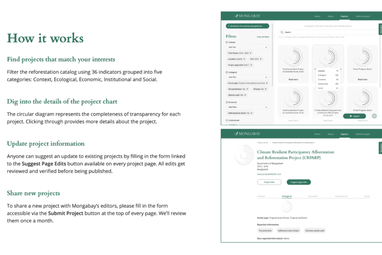 Screenshot of the Reforestation.app website explaining the tool functionality and how it can help users find suitable projects.