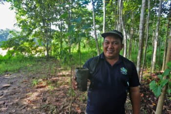 Employee from the MESCOT reforestation initiative showing a sapling in Sabah, Malaysia