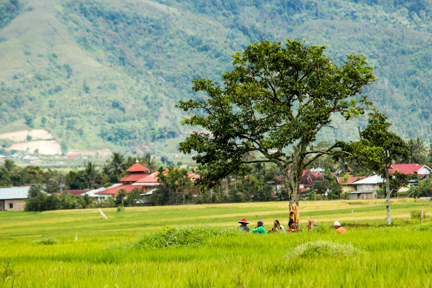 A village in Kerinci region.