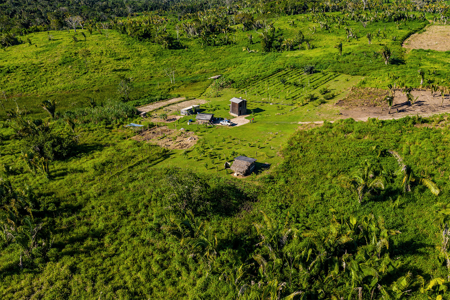 The community of smallholders on Lot 96