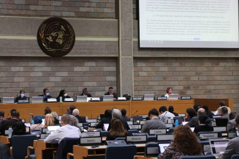 Contact groups held 22 June 2022 during the fourth meeting of the Open-ended Working Group on the Post-2020 Global Biodiversity Framework in Nairobi, Kenya. Image courtesy of the Convention on Biological Diversity via Flickr (CC BY 2.0).