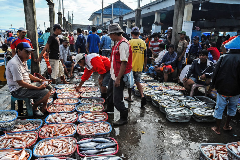 Fish-farming practices come under scrutiny amid surge in aquaculture