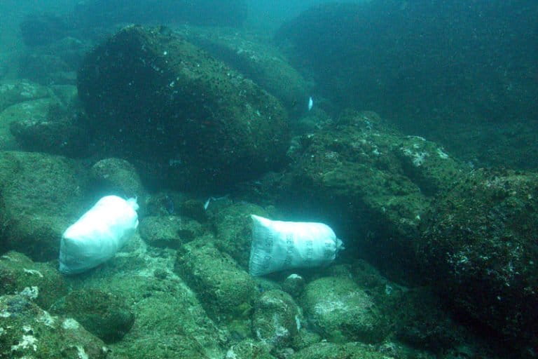 6 fishers cleared of dynamite fishing