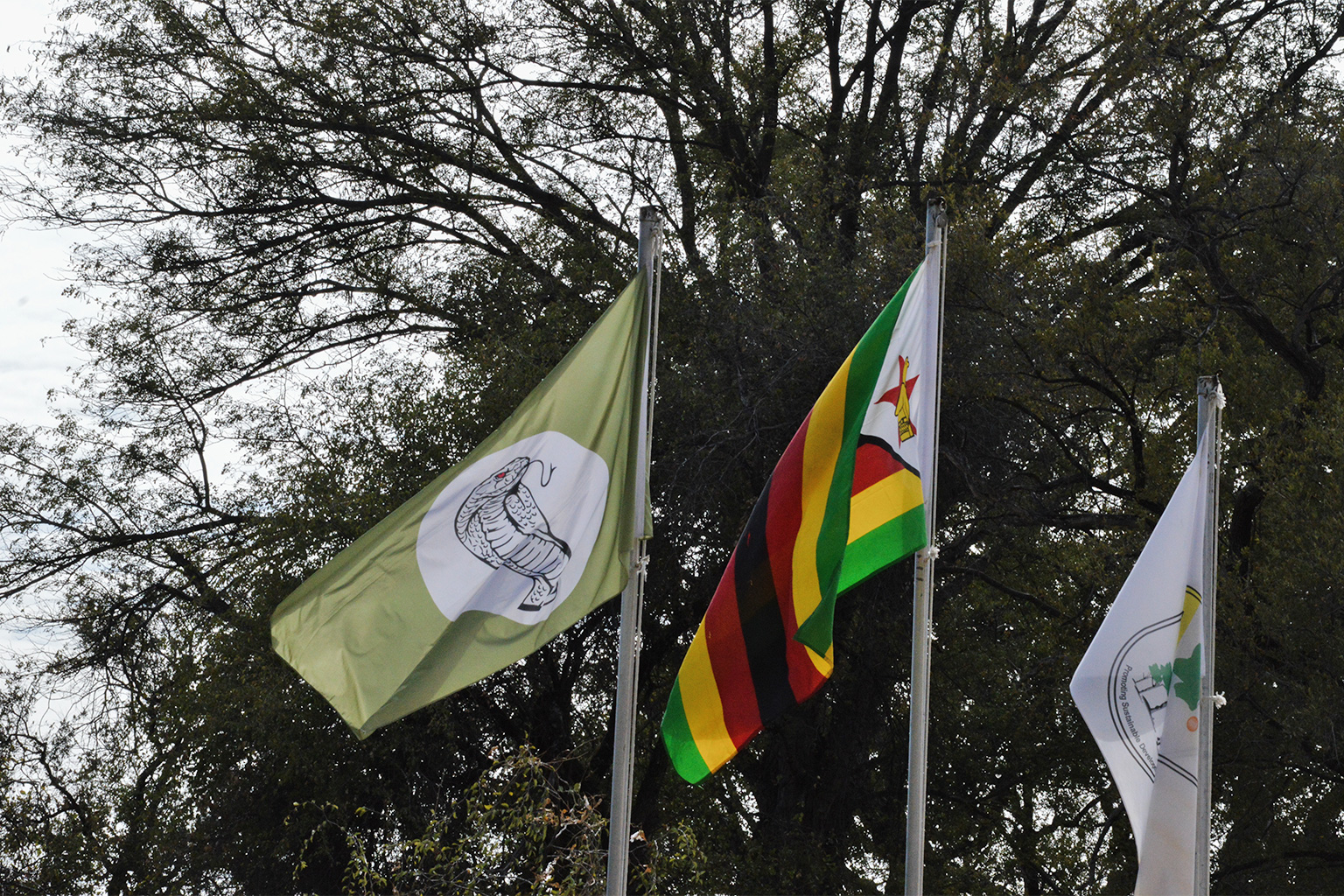 Flags fly over the parade ground at Camp Charlie