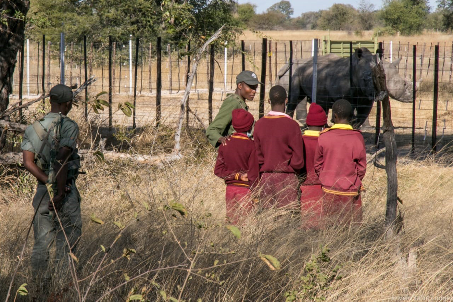 Children being introduced to white rhinos.