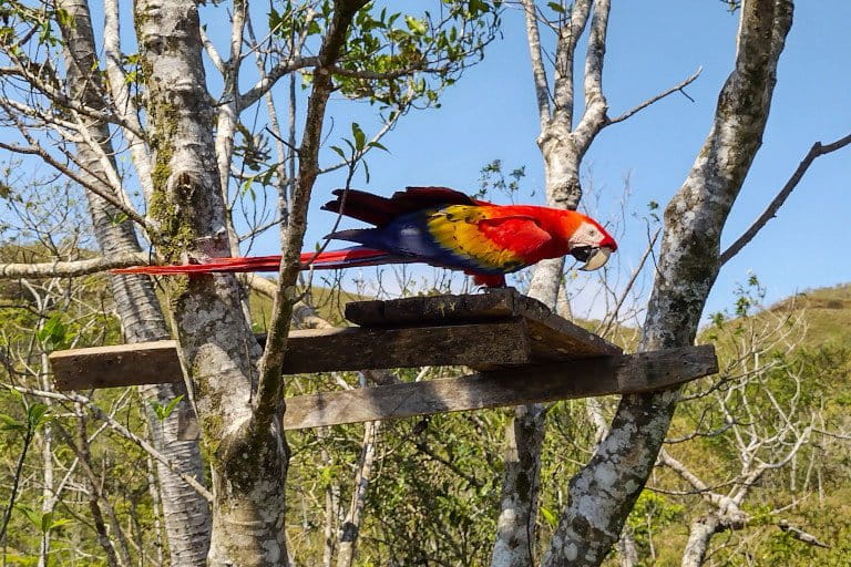 In Catemaco, Mexico's 'Land of the Sorcerers