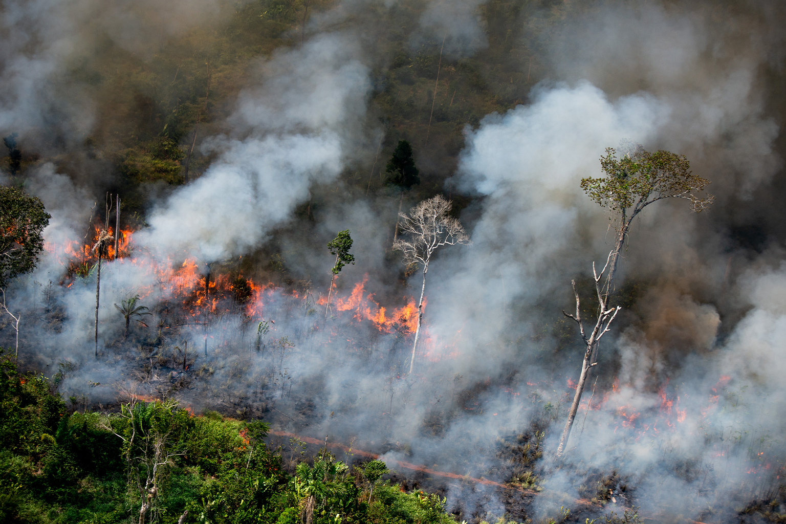 Fires next to the border of the Kaxarari Indigenous Territory 