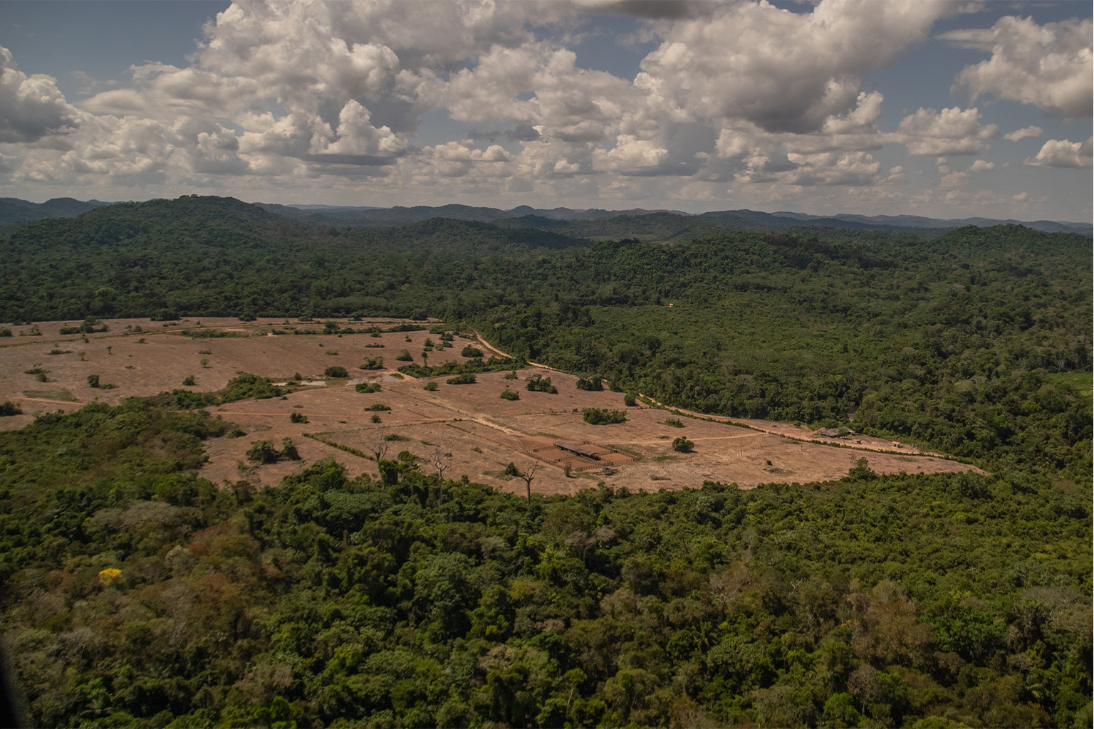 Deforestation in Amazon.