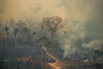 Fire in the Jaci-Parana Extractive Reserve, in Porto Velho, Rondonia state