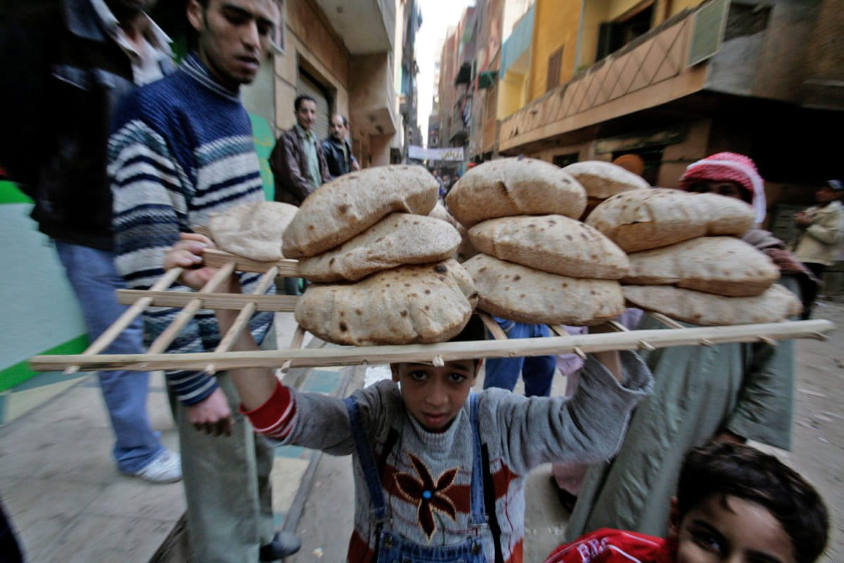 Did Wall Street play a role in this year’s wheat price crisis?