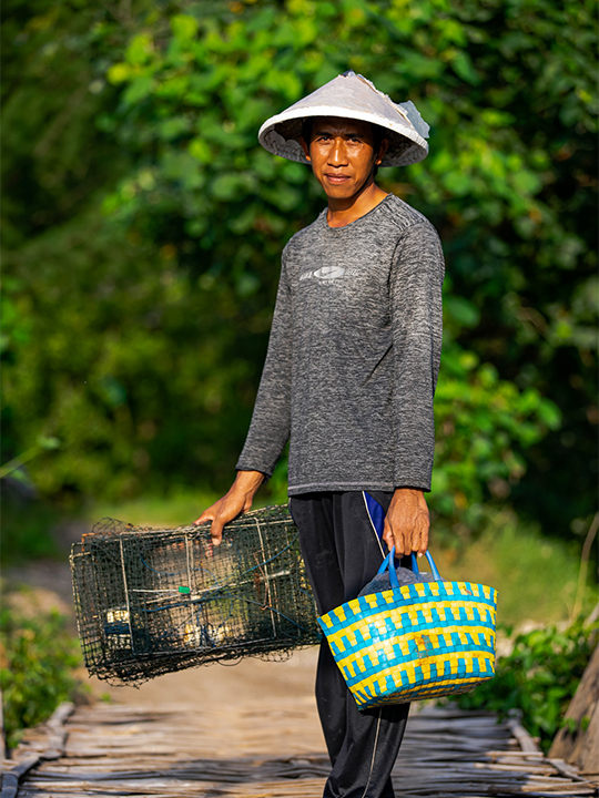 Indonesia's mangrove restoration bid holds huge promise, but