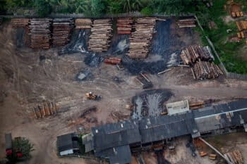 Timber is sorted for transport in Uruará in the state of Pará.
