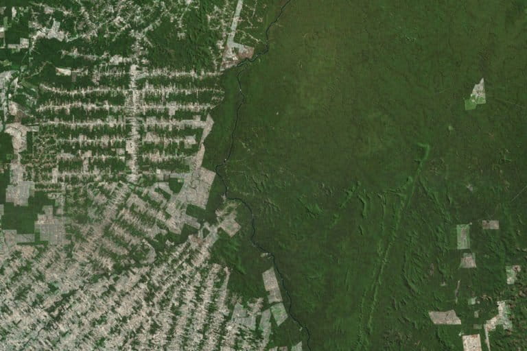 Deforestation frontier in Jaru, Brazil. Courtesy of NASA