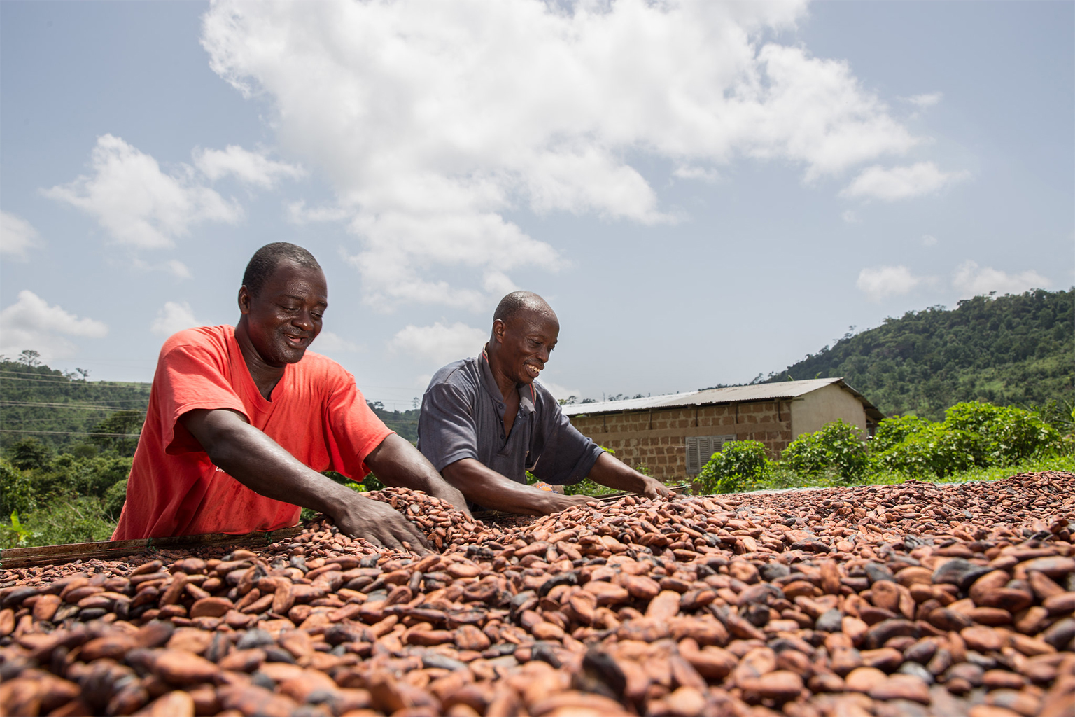 Limiter l'impact du marché du cacao en Belgique sur la déforestation