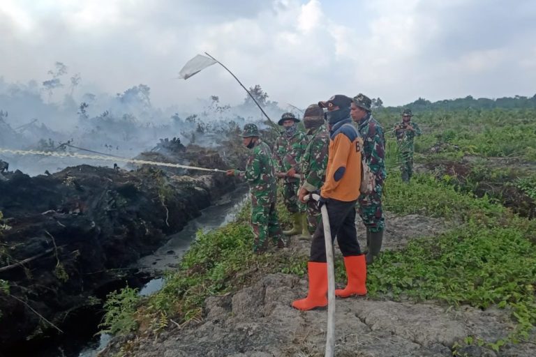 In Borneo, the 'Power of Mama' fight Indonesia's wildfires with