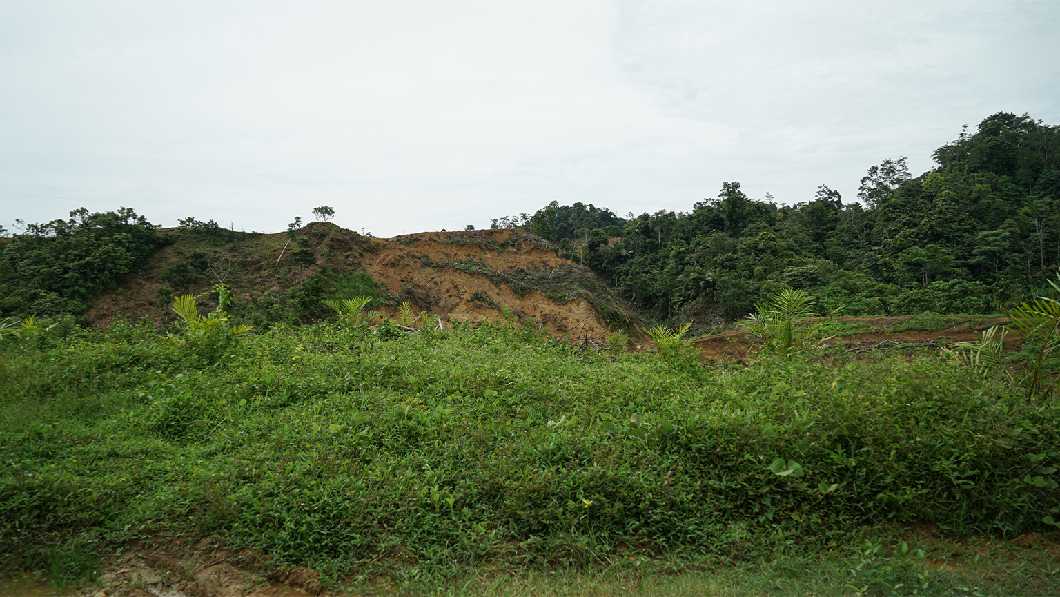 Recently cleared land in Cot Girek. 