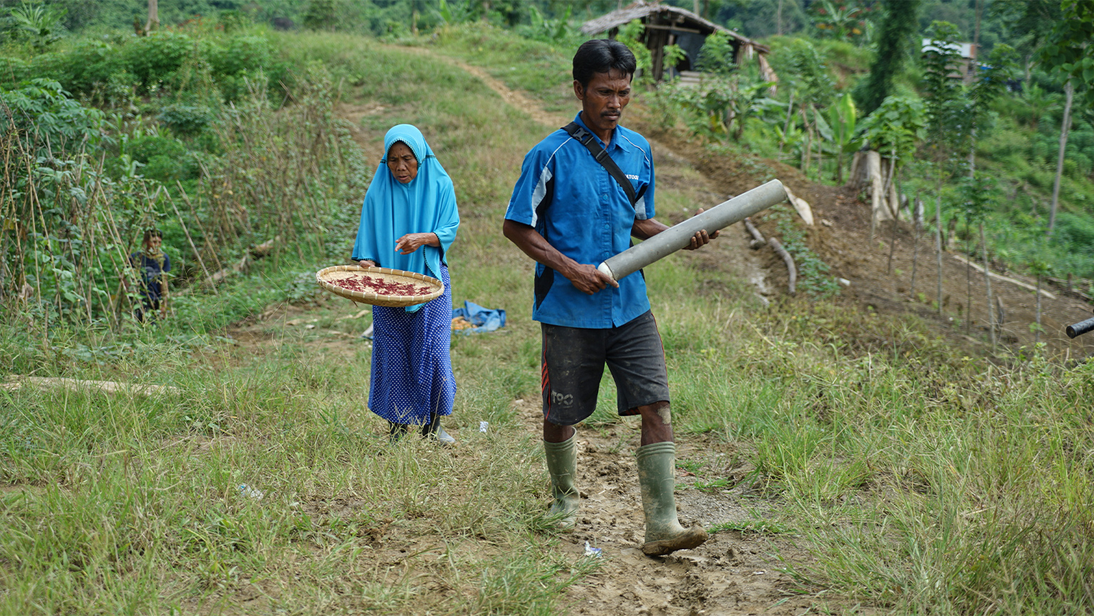 Yasmin trails her son Junaidi on their farm. 