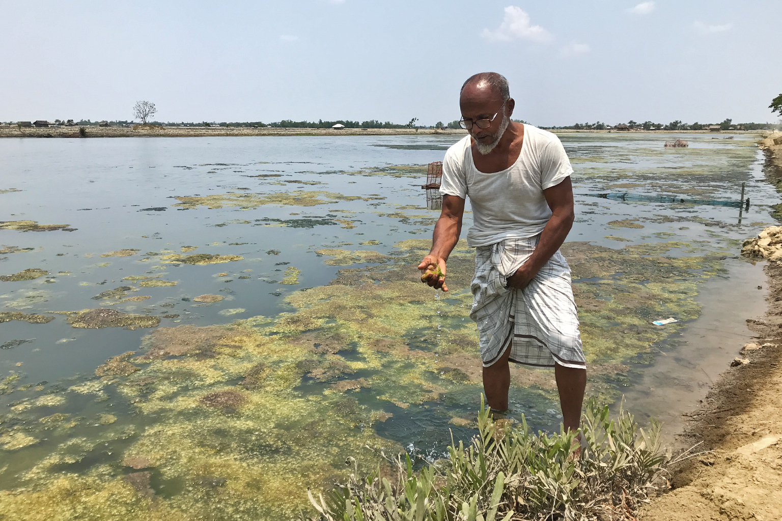 Shrimp farmer