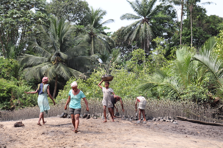 Community members carry mangrove seedlings to a boat which will transport them to be planted. Image by Orji Sunday for Mongabay.