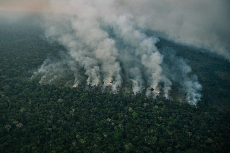 Blazing start to Amazon’s ‘fire season’ as burning hits August record