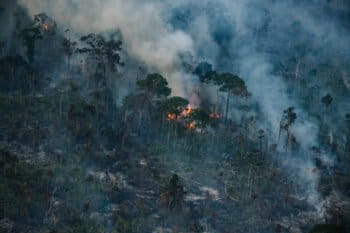 Fire near the Manicoré River in Amazonas state in August 2022. Photo © Christian Braga / Greenpeace