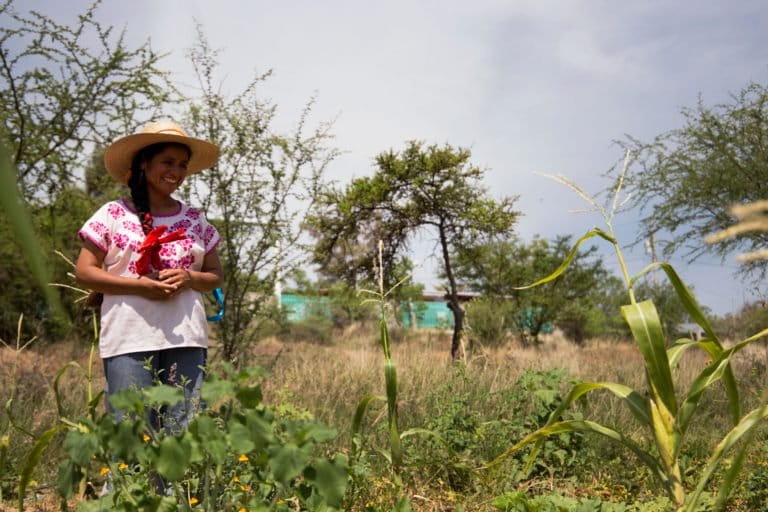 On the frontlines of drought, communities in Mexico strive to save every drop of water