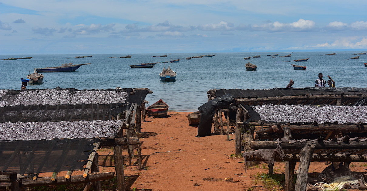 Drying fish on raised racks instead of the sand reduced the fish waste, a success of the UN Food and Agricultural Organization (FAO). Photo by Robert Bociaga for Mongabay.