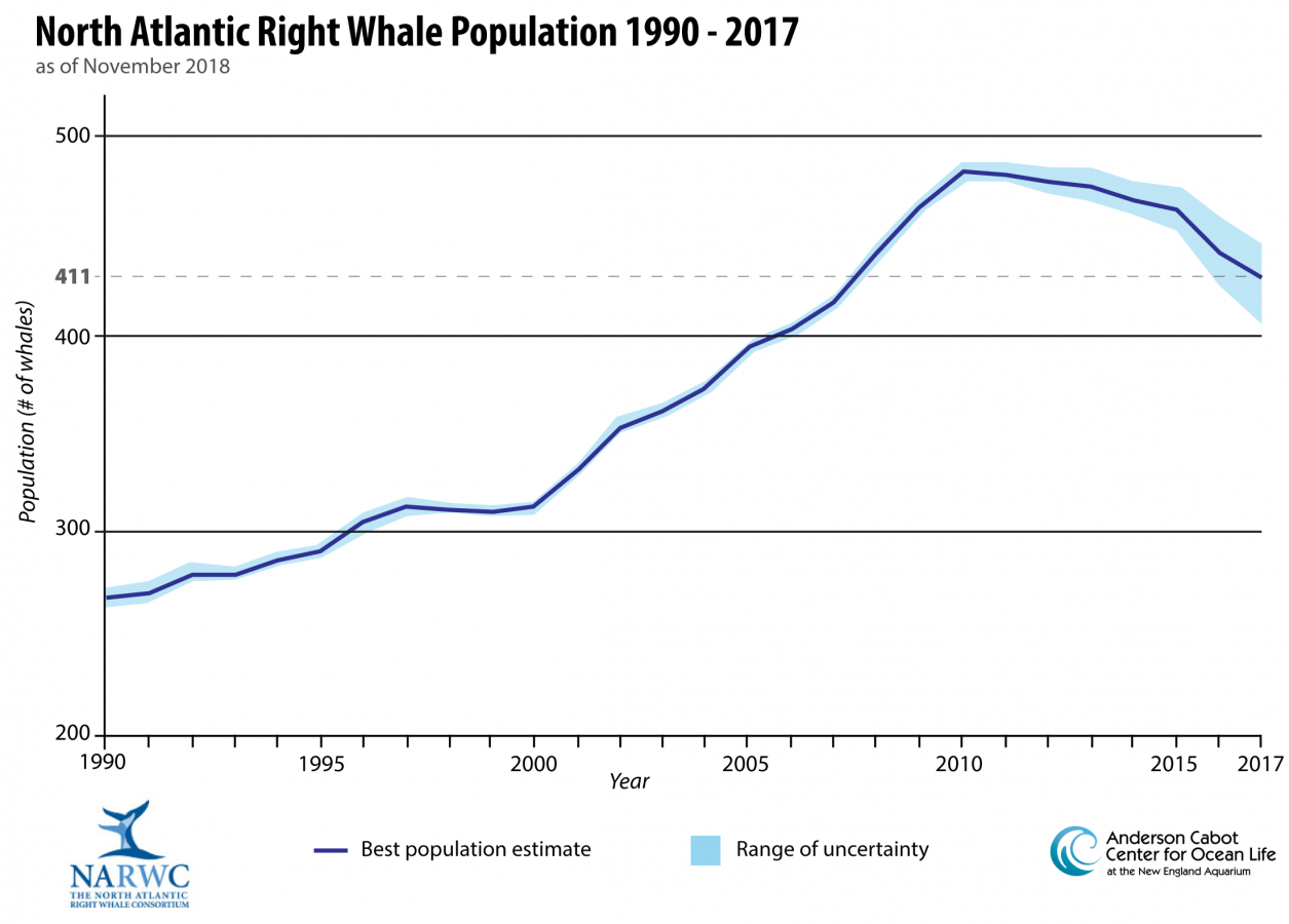 Graph showing whale population.