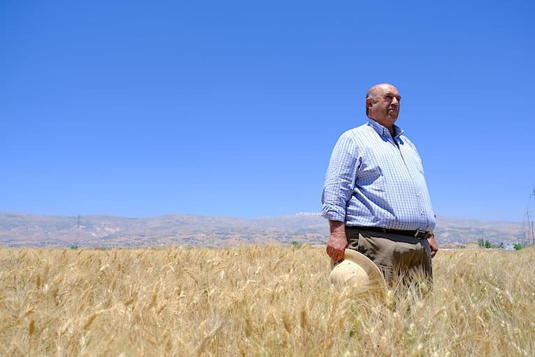 Elias Saker, a landowner who plants ICARDA’s improved wheat seeds in his fields near Terbol. Image by Marta Vidal for Mongabay.