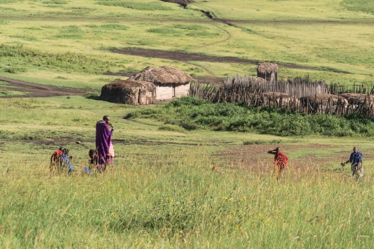 A Maasai settlement in Tanzania.