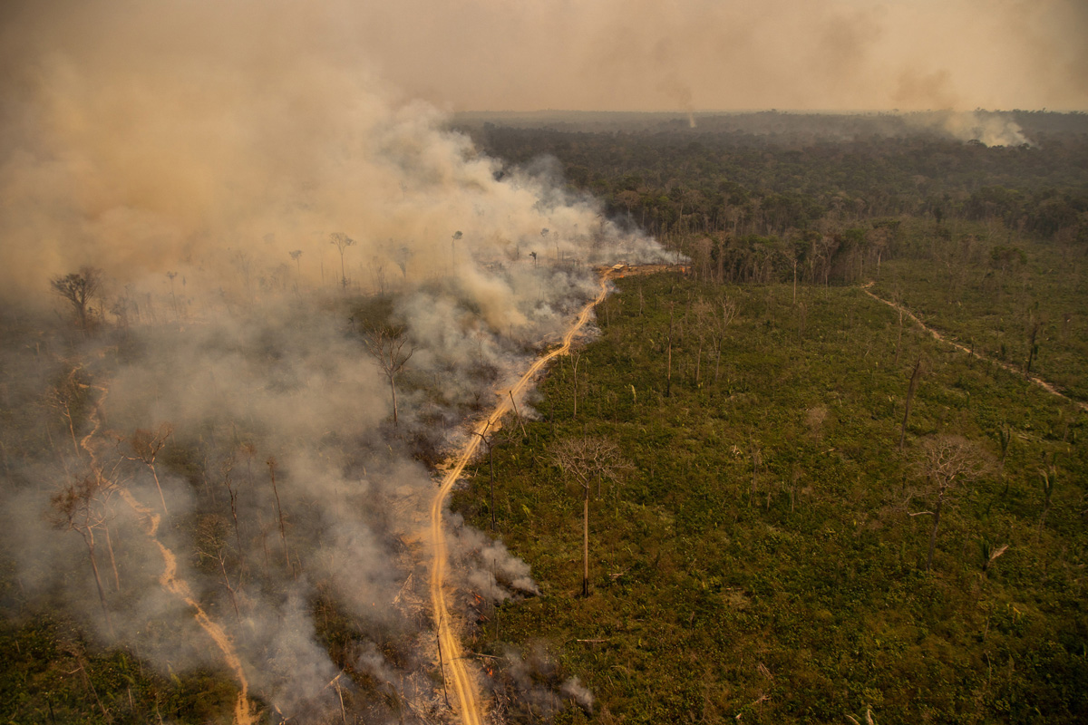 Deforestation and fire in the forests of Paraná.