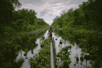 An oil pipeline through Wampis territory in the Amazonas department. Image by Jacob Balzani.