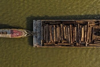 Logging operation in the Amazon.
