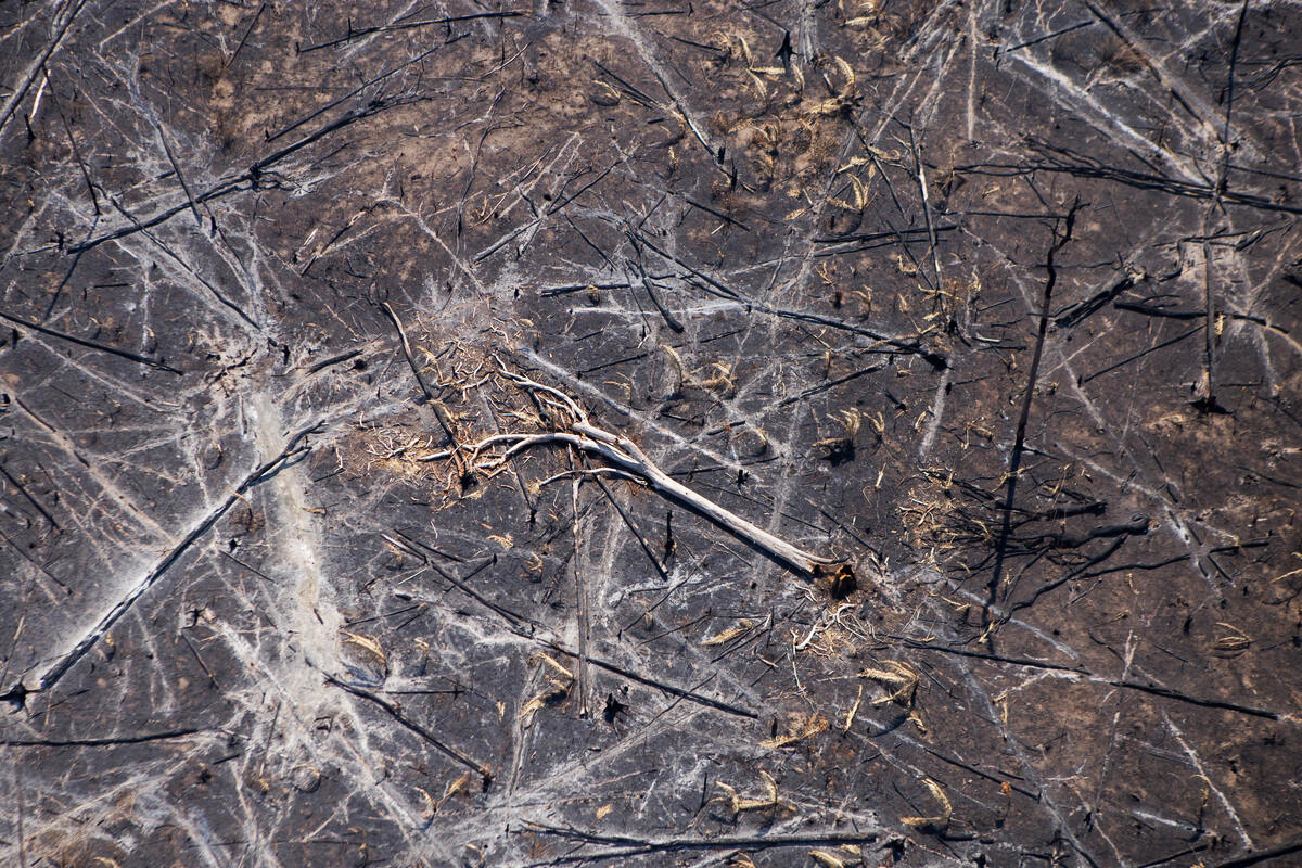 Overflight image of deforestation in the Amazon.