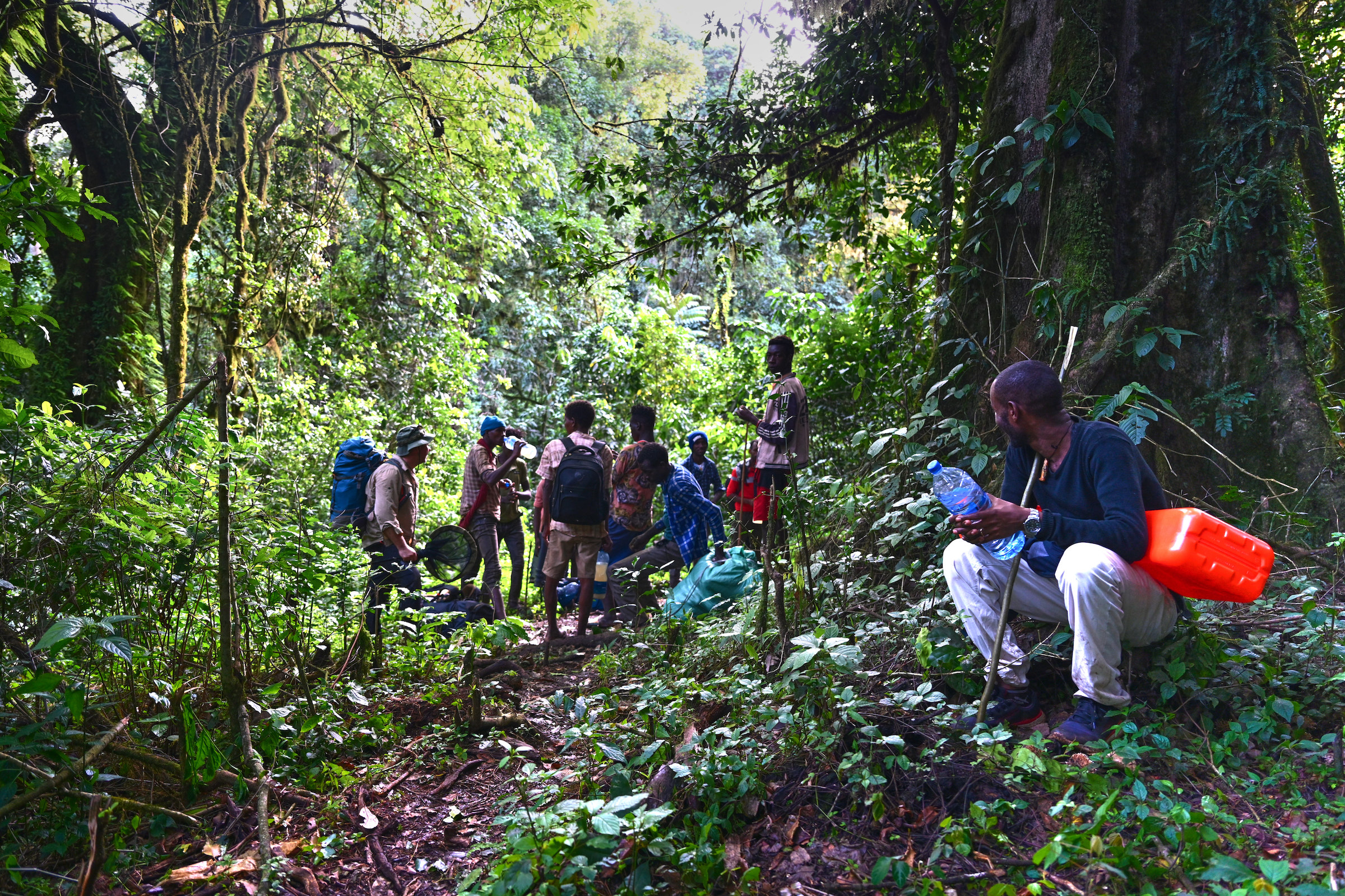 Gura Ferda expedition, Ethiopia, May-June 2022. Image courtesy Christophe Bernier.