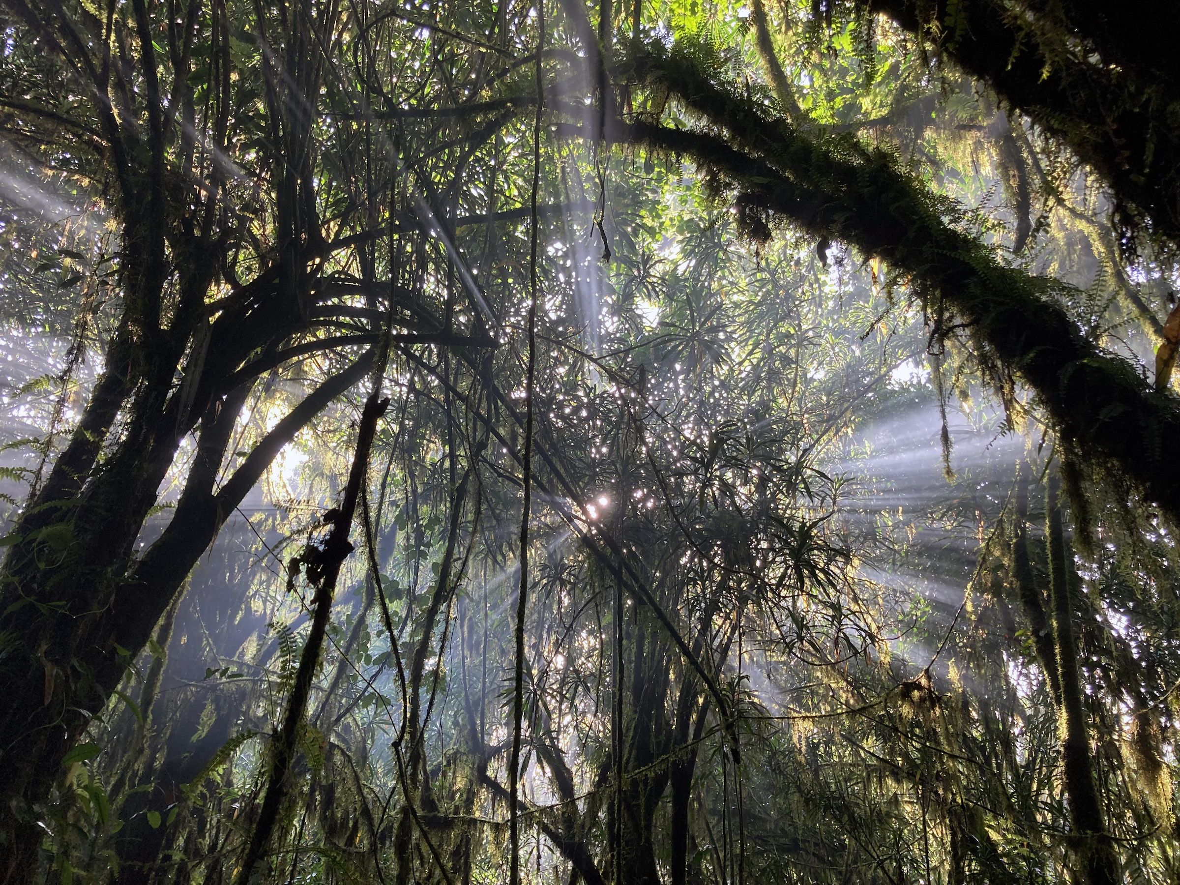 Gura Ferda expedition, Ethiopia, May-June 2022. Image courtesy Julian Bayliss.