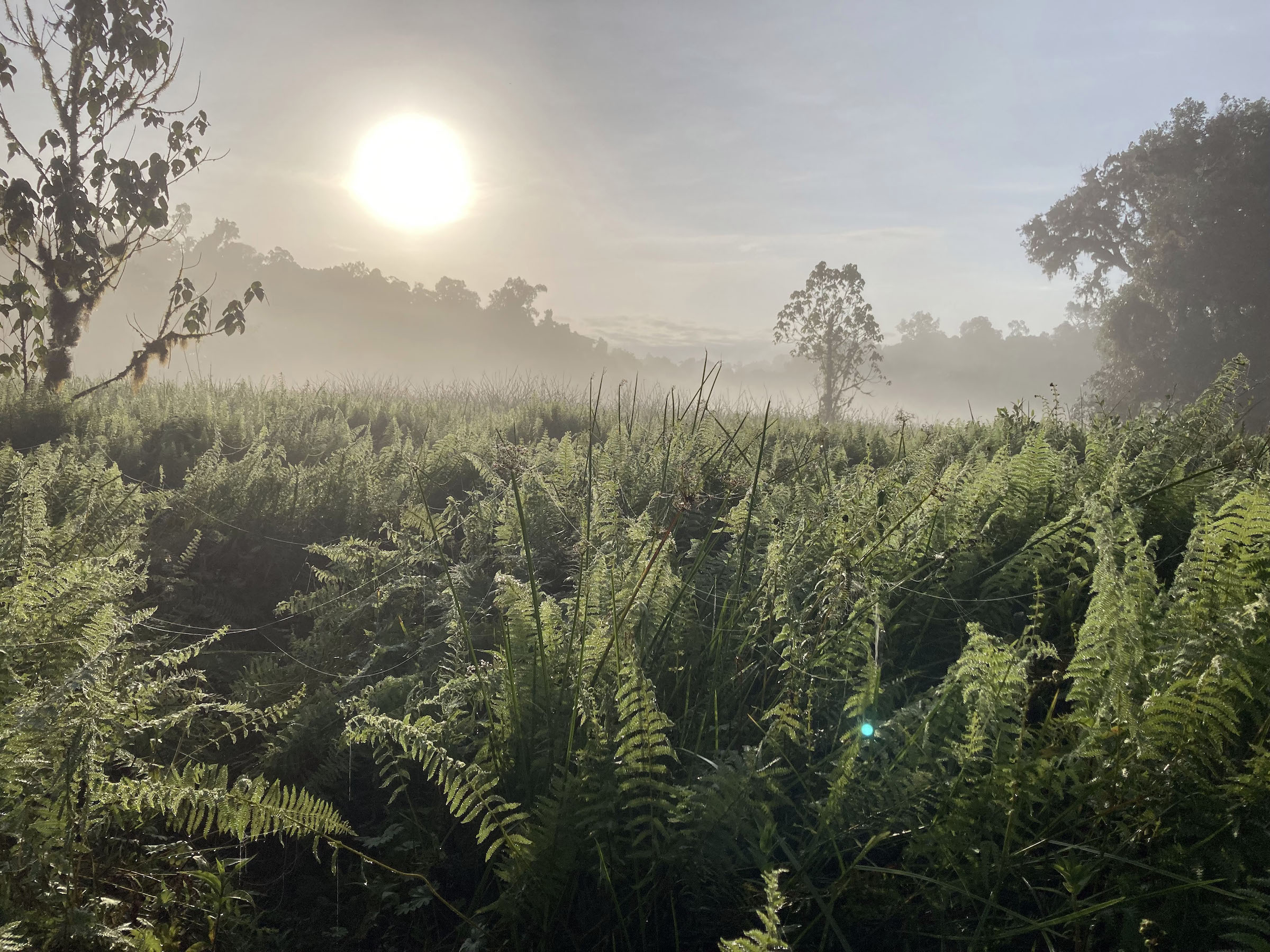 Gura Ferda expedition, Ethiopia, May-June 2022. Image courtesy Julian Bayliss.