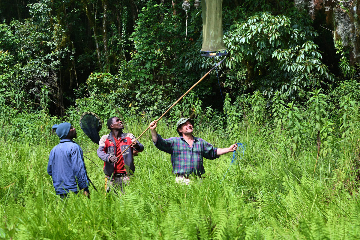 Gura Ferda expedition, Ethiopia, May-June 2022. Image courtesy Christophe Bernier.
