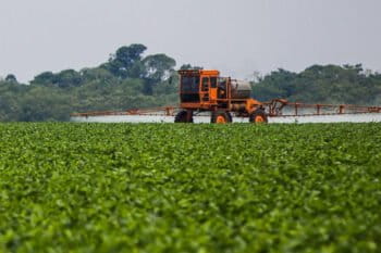 The successful use of microorganisms in the production of soybeans is driving R&D for the development of bioproducts focused on different crops. Image by Bruno Kelly/Greenpeace.