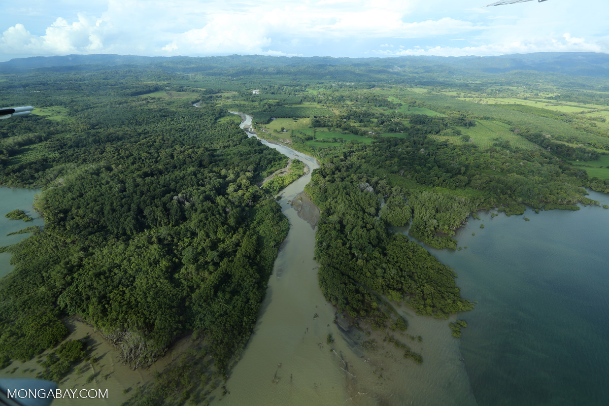 Aerial view of a river in Costa Rica.