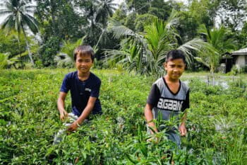 Two young boys farming.