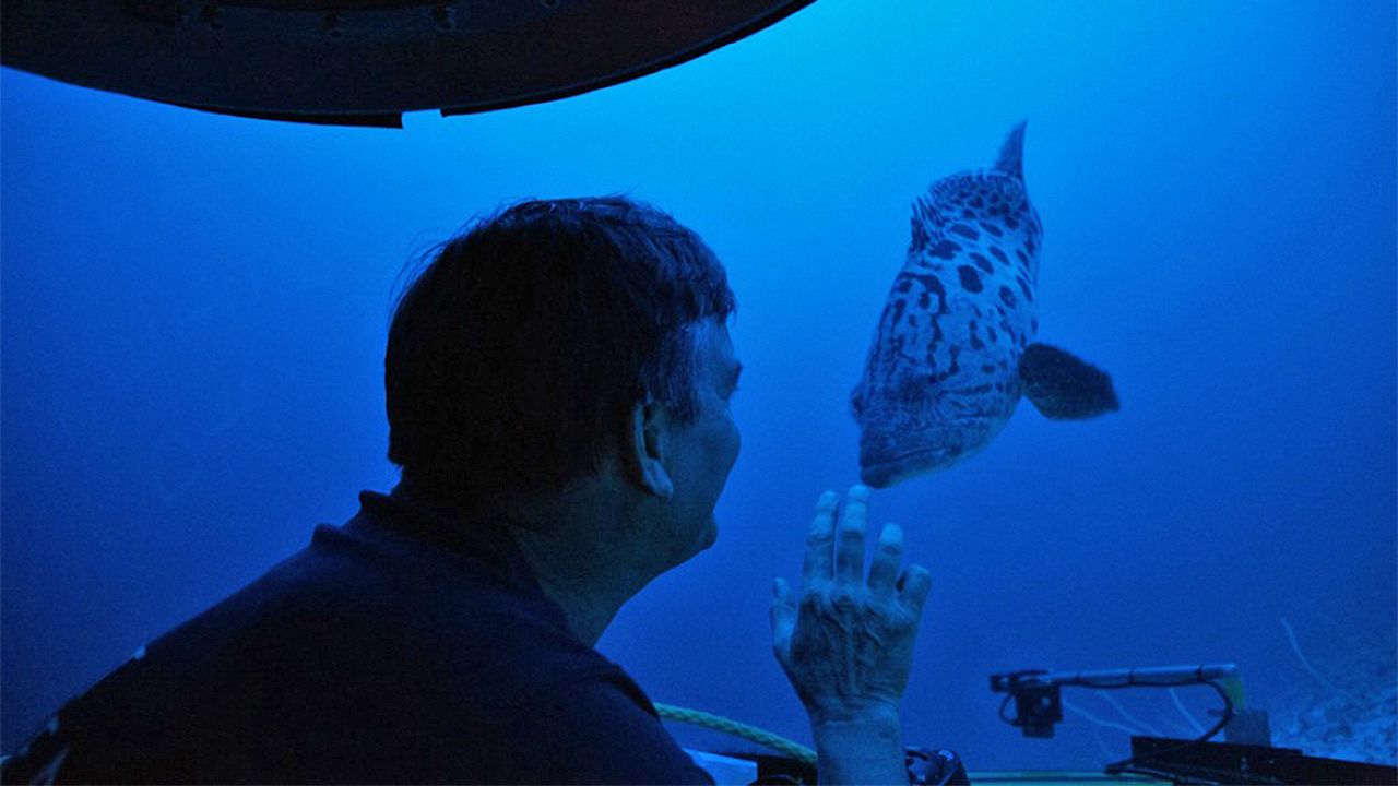 Deep dive uncovers previously unknown underwater ecosystem in Maldives