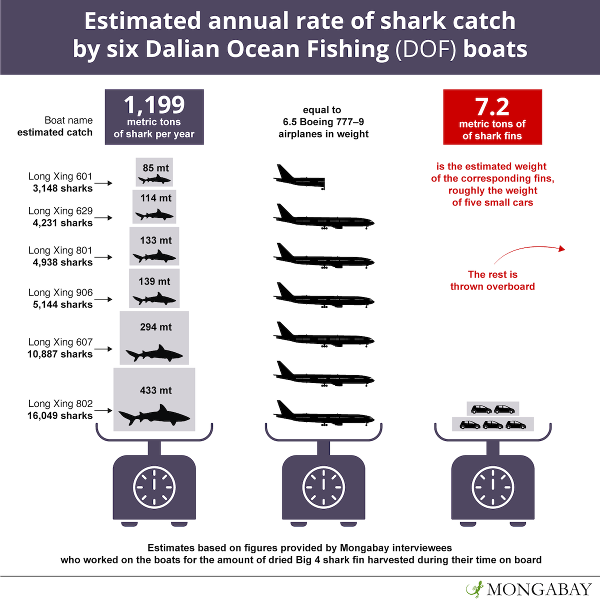 Banning Wire Leaders: A Practical Solution for Reducing Shark