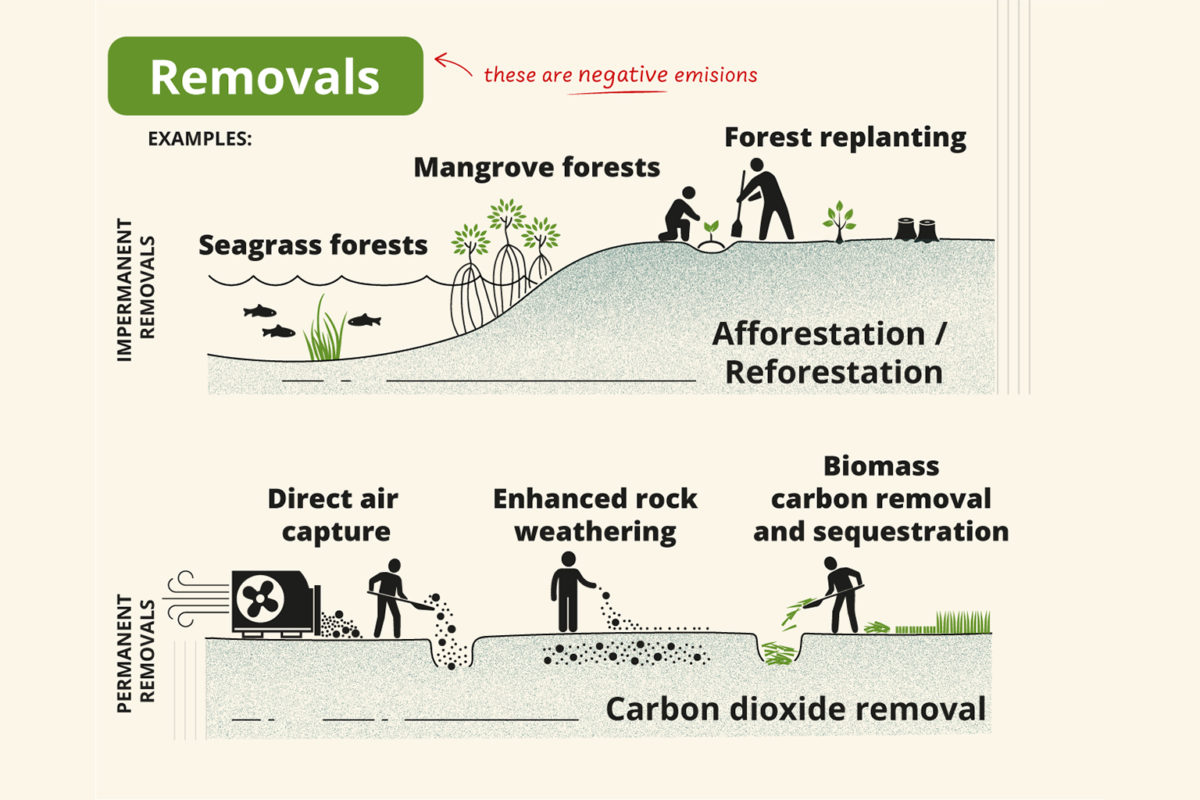 Carbon offsets: A key tool for climate action, or a license to emit?
