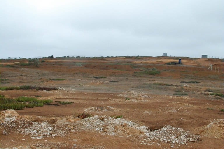 The eroded, degraded land where the Great Forest originally stood.